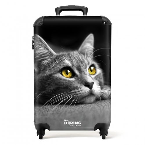 Black and white cat with yellow eyes