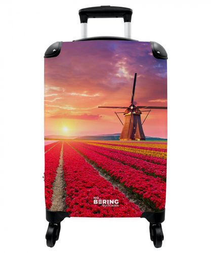 Field of flowers with a windmill