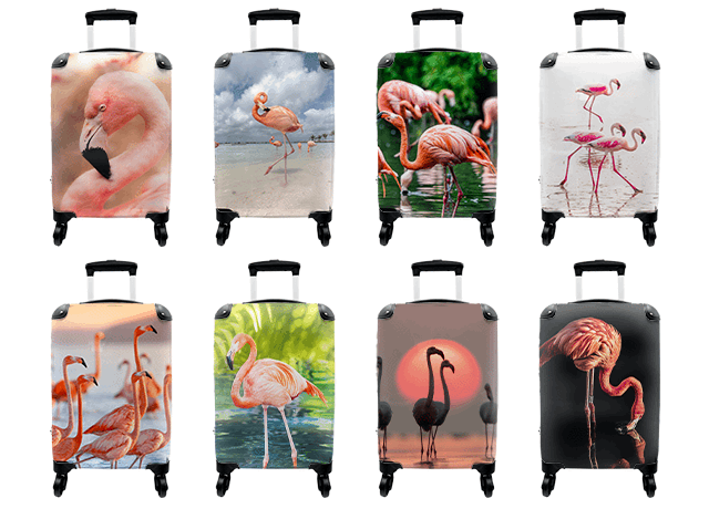 Koffers flamingo