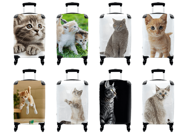 Koffers katten