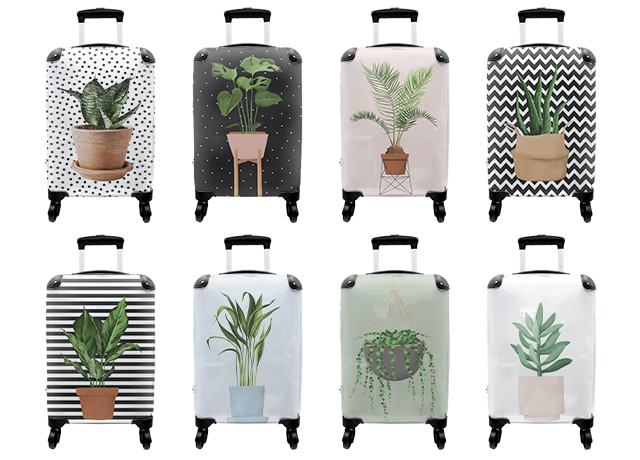 Koffers planten