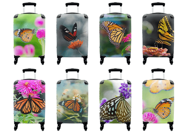 Koffers vlinders