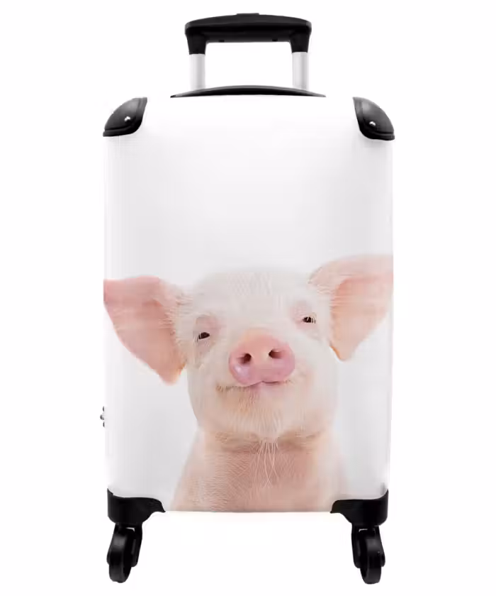 Suitcase - Binky Big