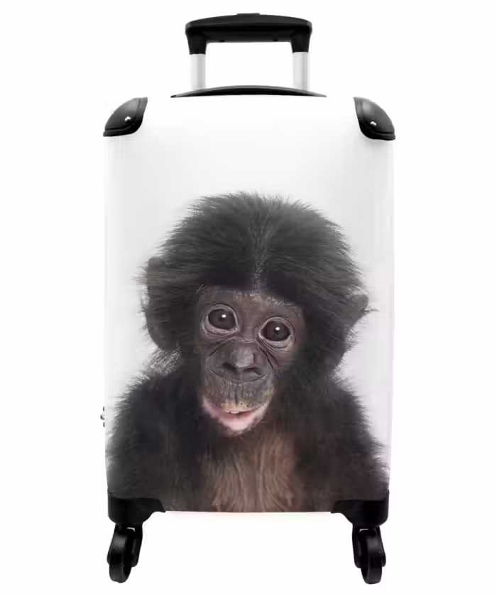 Suitcase - Charlie Chimp