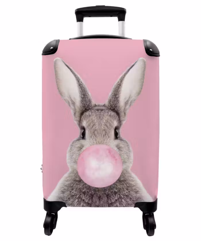 Suitcase - Chewing gnaw