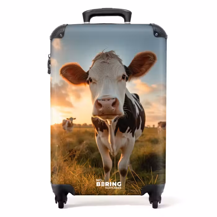 Suitcase - Cows in pasture
