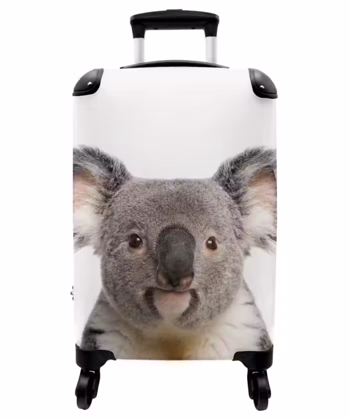 Suitcase - Cute Koala Bear