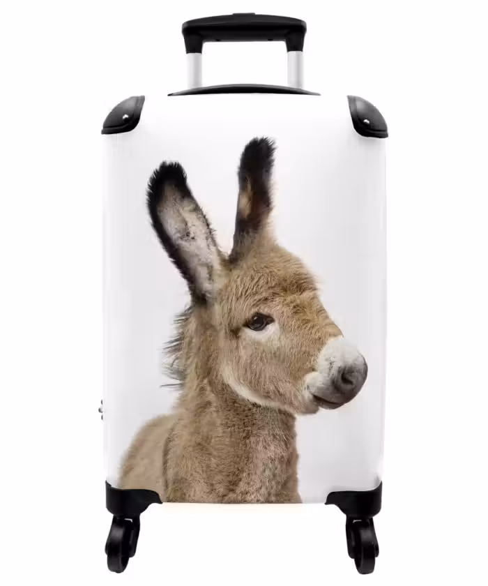 Suitcase - Eddy Donkey