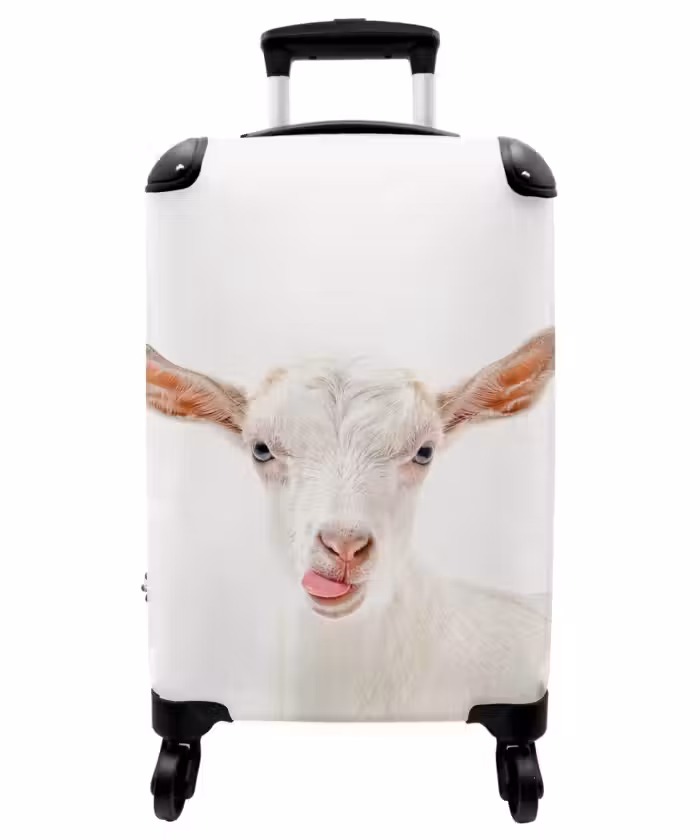 Suitcase - Goat Sticking Out Its Tongue