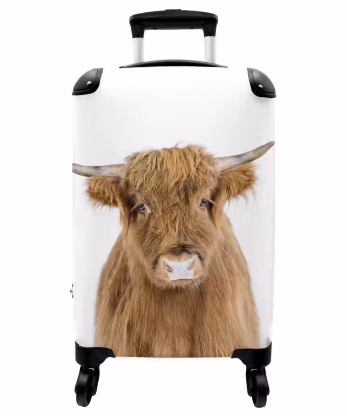 Suitcase - Halbe Highlander
