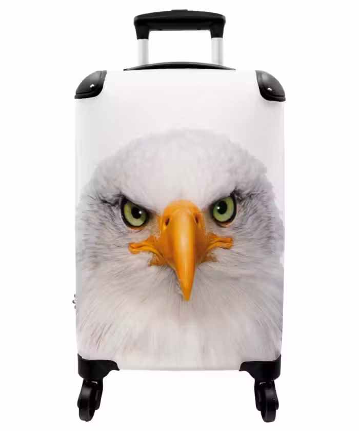 Suitcase - Harry the Hawk