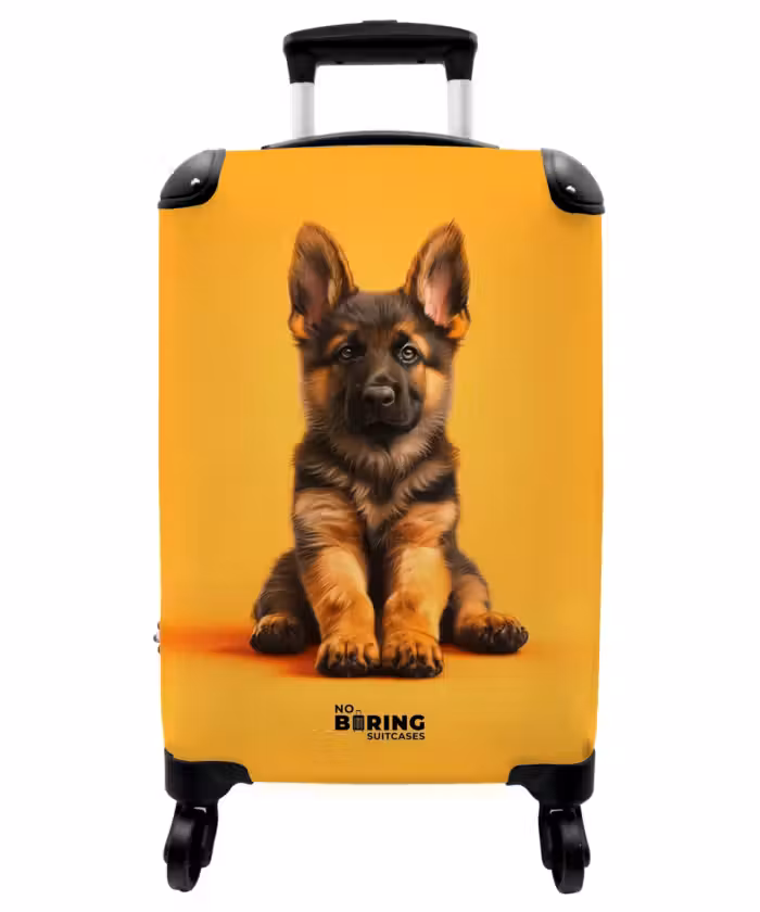 Suitcase - Hein shepherd