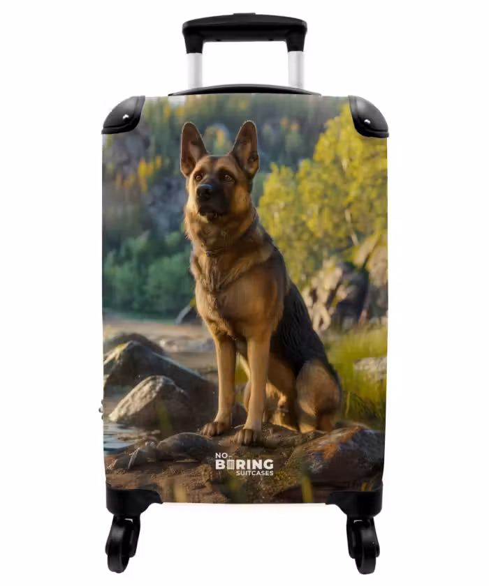 Suitcase - Hessel shepherd