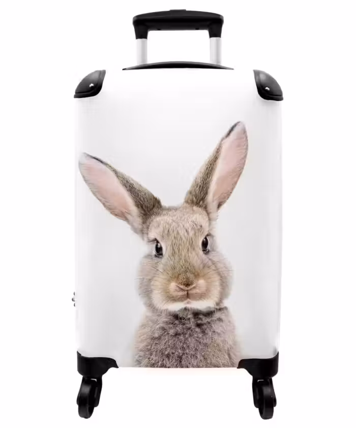 Suitcase - Koen Rabbit