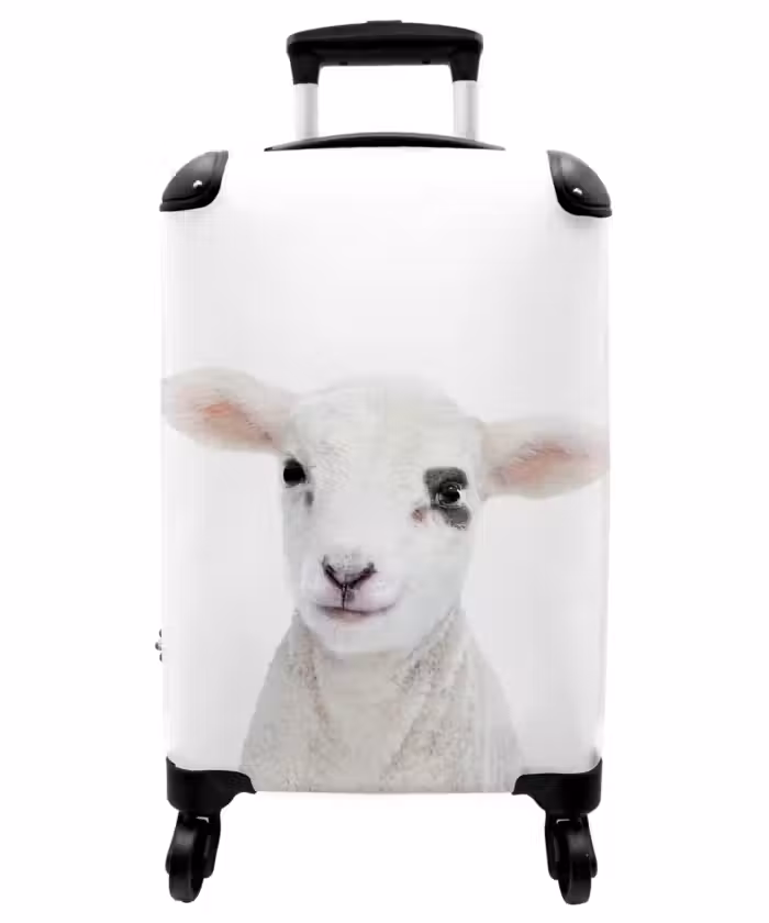 Suitcase - Lam-mert