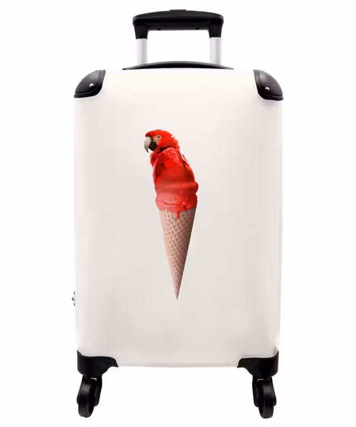 Suitcase - Parrot cone