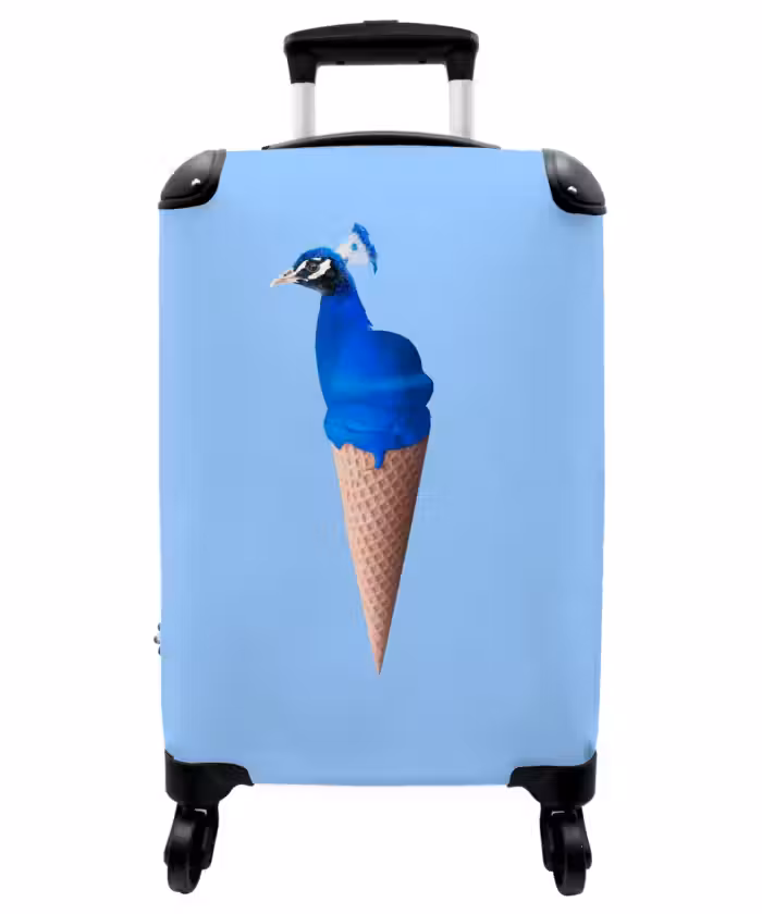 Suitcase - Peacock cone