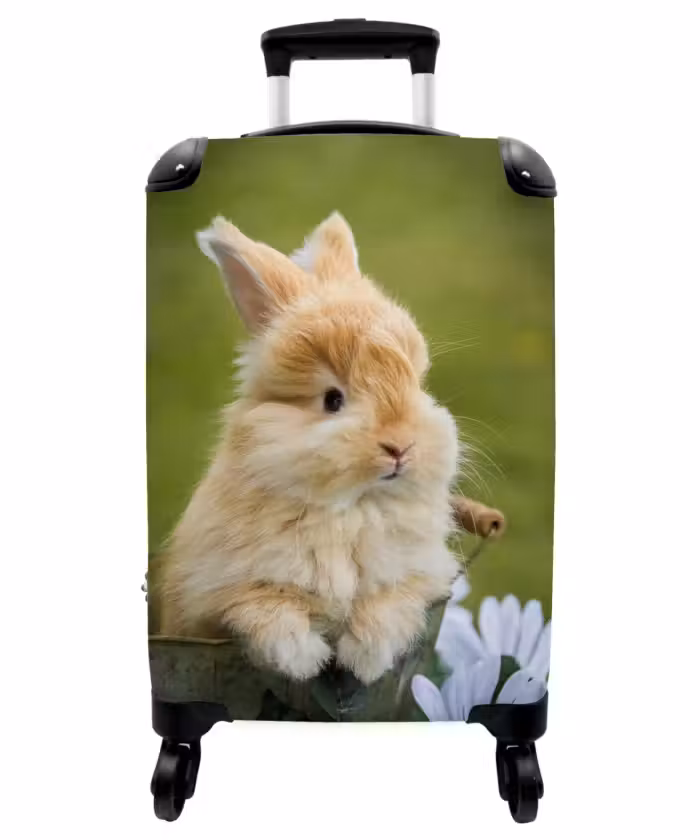 Suitcase - Rabbit in flower pot