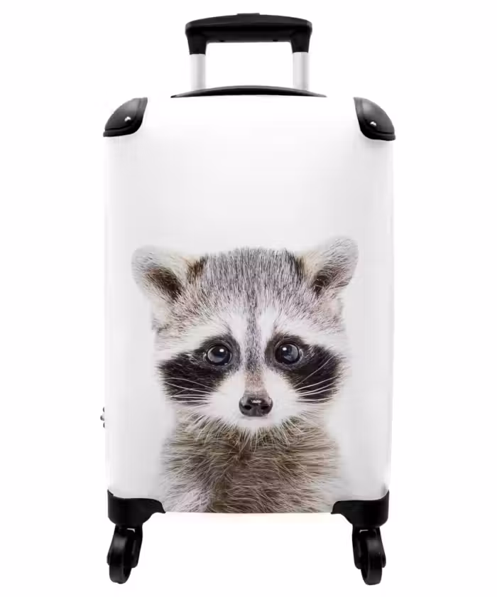 Suitcase - Rachid Racoon