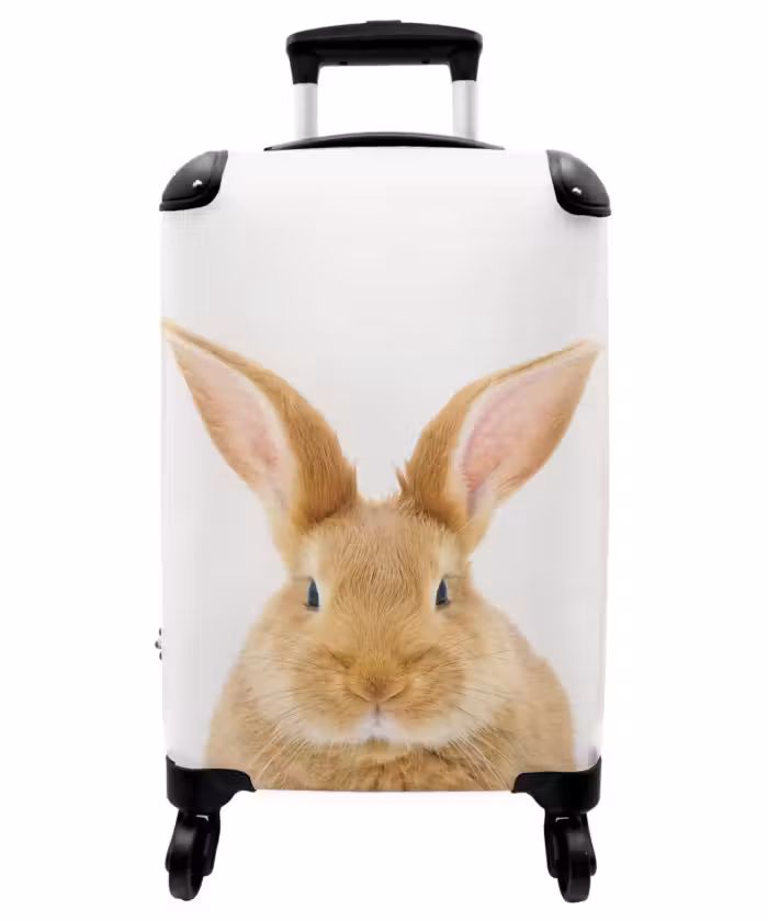 Suitcase - Sniffles with Satisfied Head
