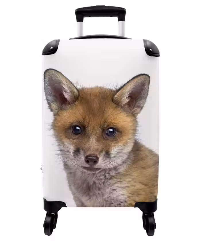 Suitcase - Victor Vos