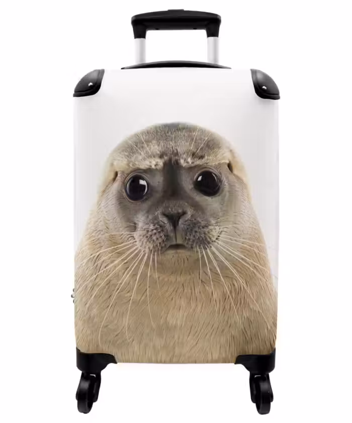 Suitcase - Zyon Seal