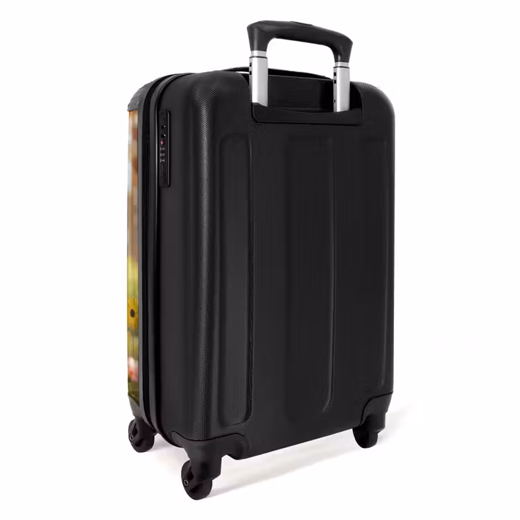 Suitcase - Benno Bloembouwer — 3