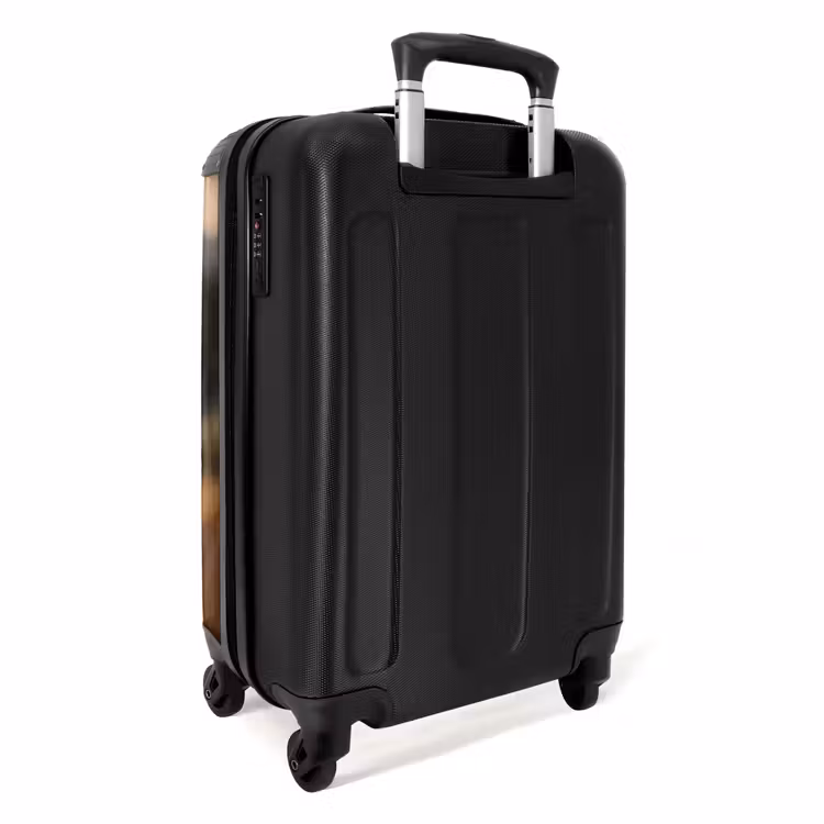 Suitcase - Brown horse in a pasture — 3