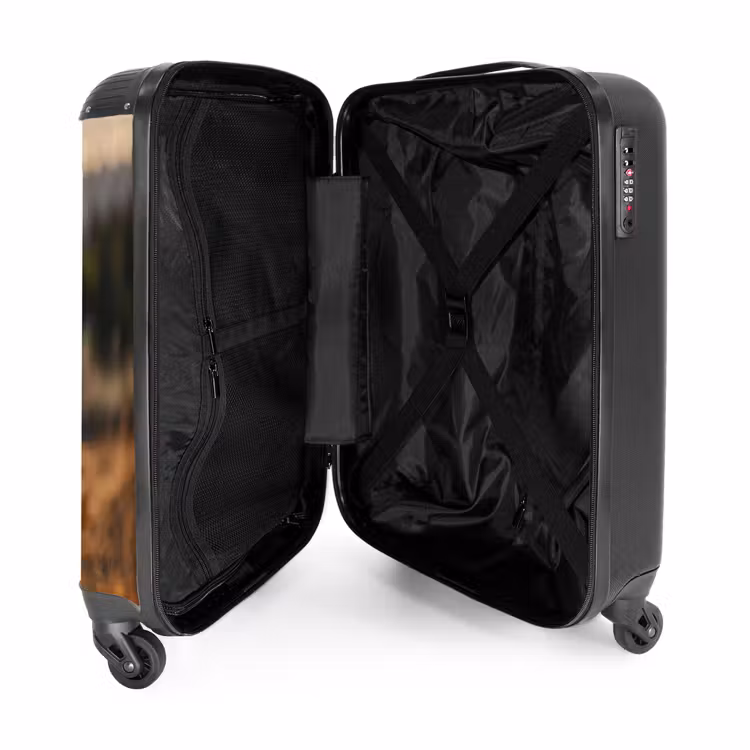 Suitcase - Brown horse in a pasture — 4