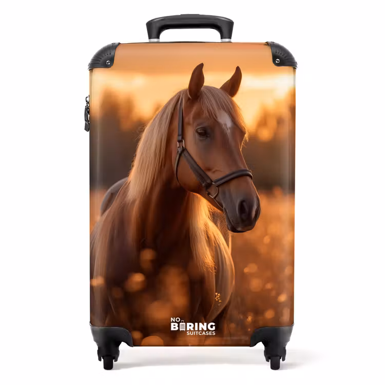 Suitcase - Brown horse in pasture — 1