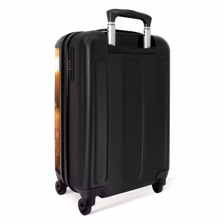 Suitcase - Brown horse in pasture — 3