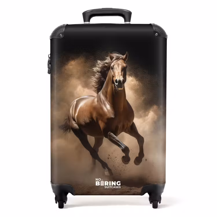 Suitcase - Bruno — 1