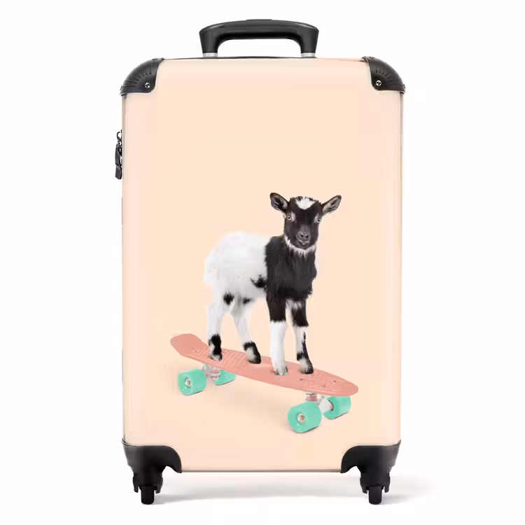 Suitcase - Boarding buck — 1
