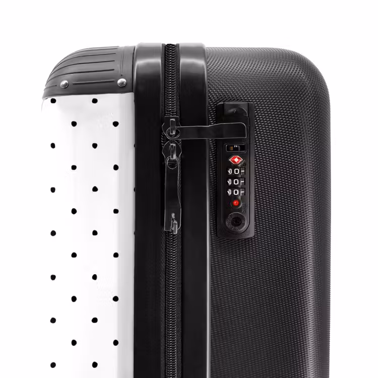 Suitcase - Symmetrically placed black dots over a white background — 6