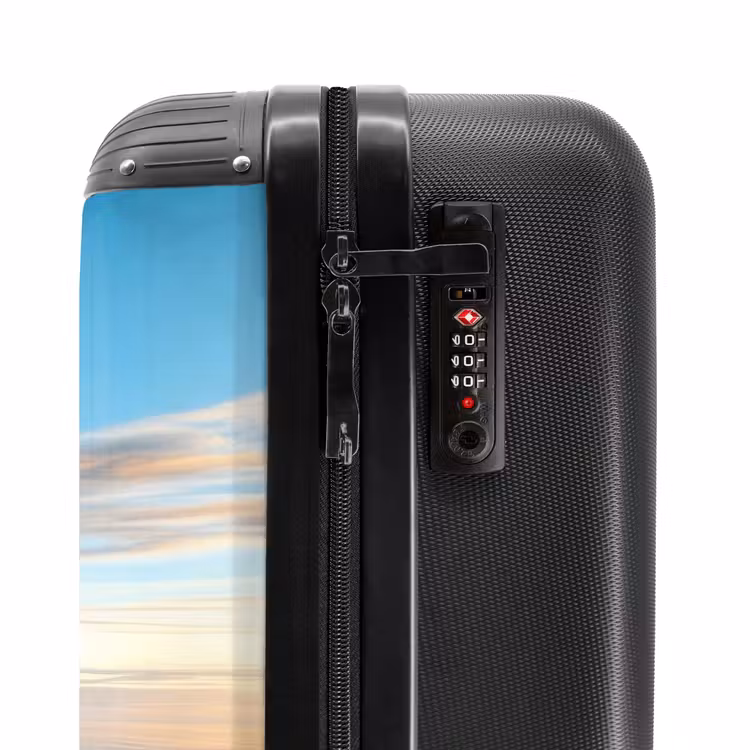 Suitcase - Air pilot lion — 5