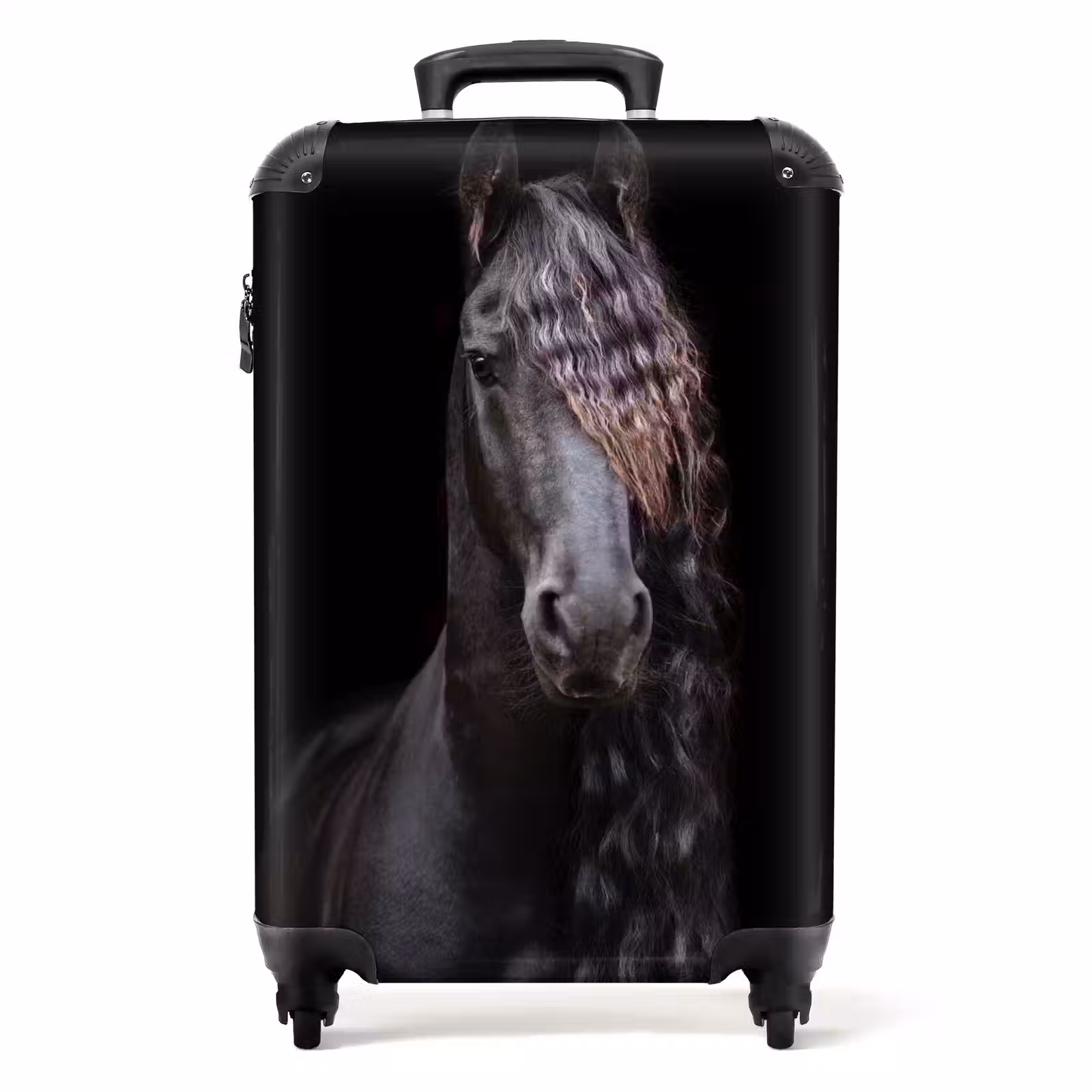 Suitcase - Friesian stallion — 1