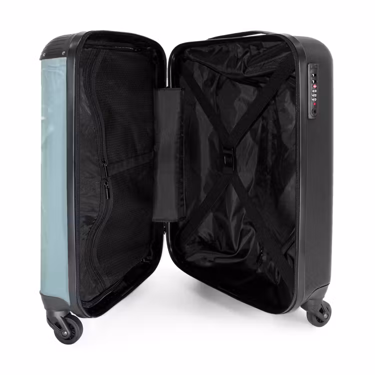 Suitcase - Brown dog through torn blue plastic — 5