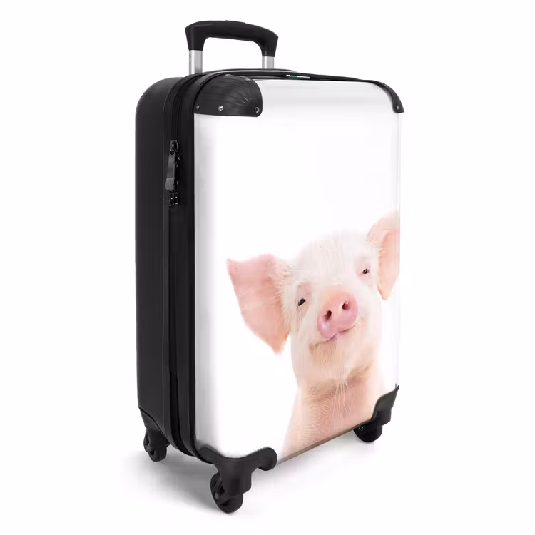Suitcase - Binky Big — 2