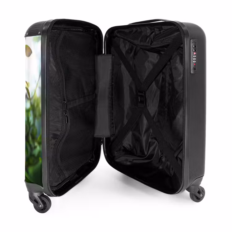 Suitcase - Alex monkey — 4
