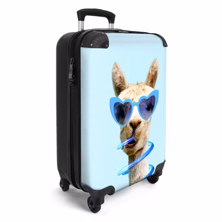 Suitcase - Allard Alpaca — 2