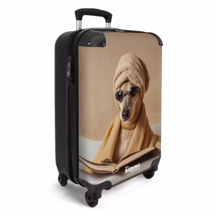 Suitcase - Bath - Dog - Book - Sunglasses — 2