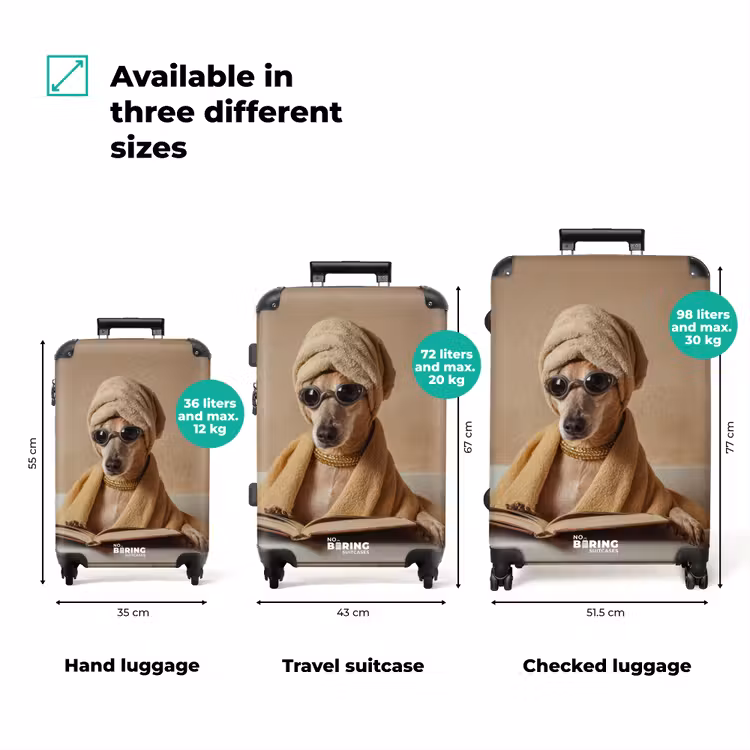 Suitcase - Bath - Dog - Book - Sunglasses — 3