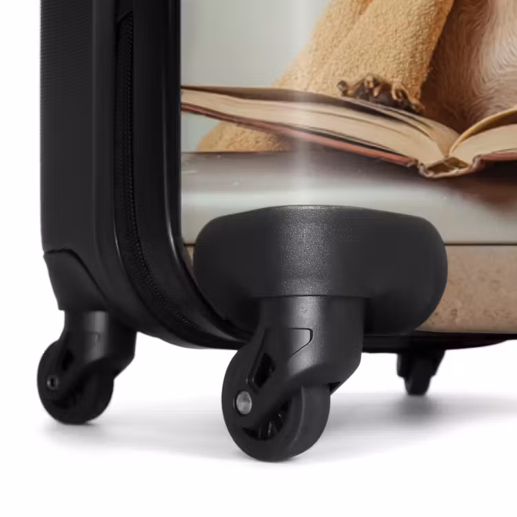 Suitcase - Bath - Dog - Book - Sunglasses — 7