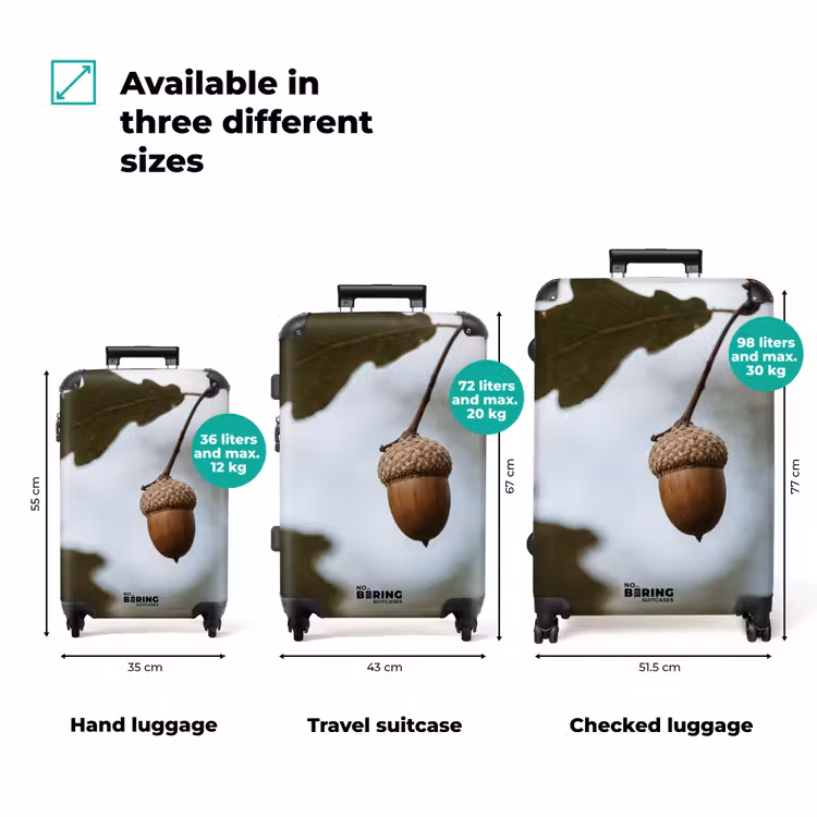 Suitcase - Acorn - Oak Leaf - Forest - Fall - Nature — 3