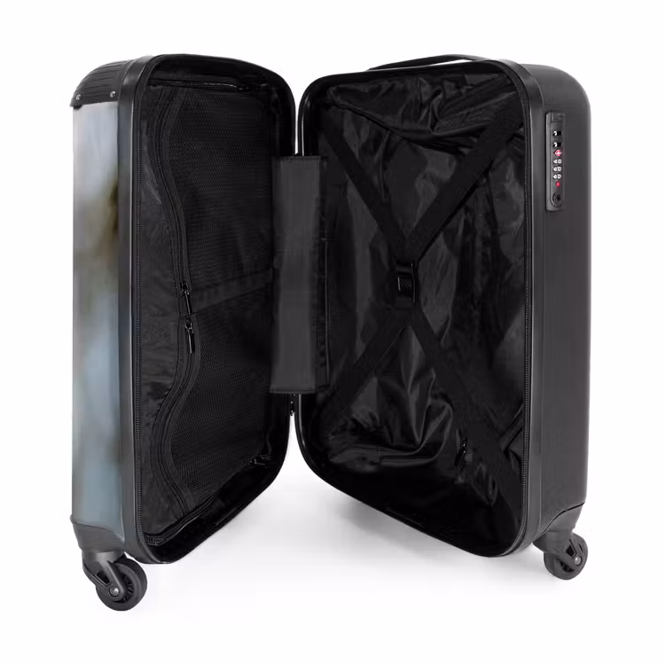Suitcase - Acorn - Oak Leaf - Forest - Fall - Nature — 5