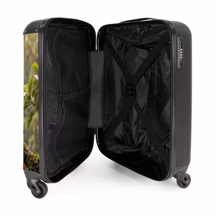 Suitcase - Ara - Jungle - Red — 5