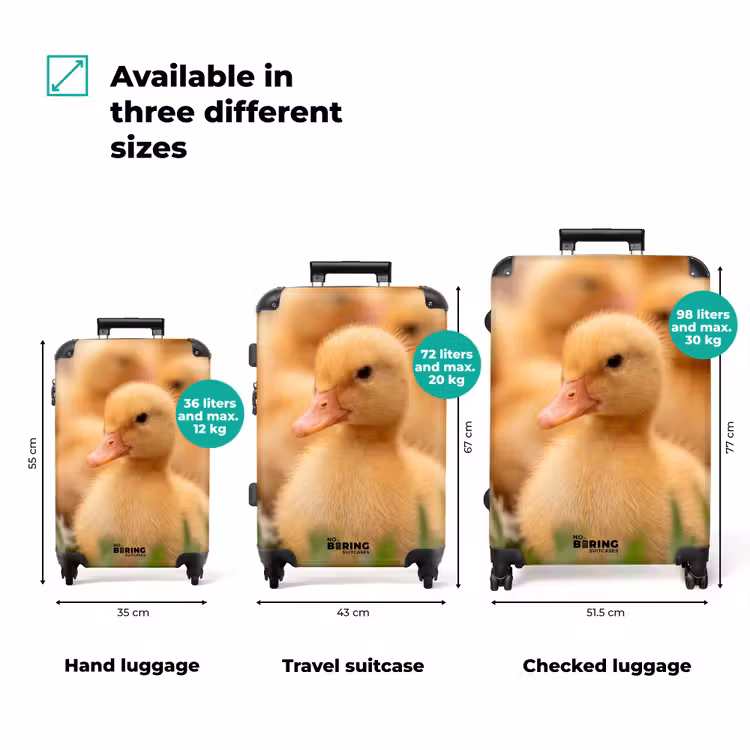 Suitcase - Arrow - Duck - Nature - Yellow — 3