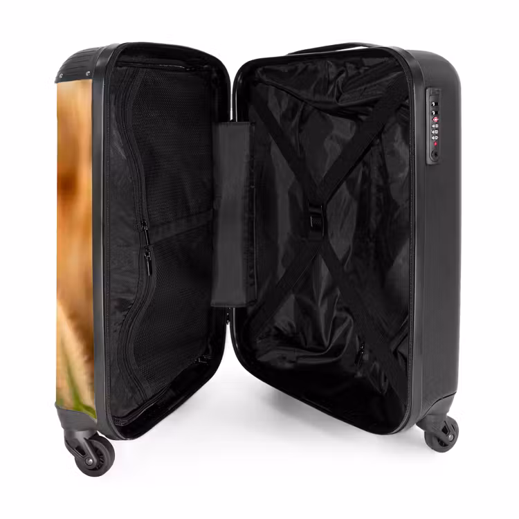 Suitcase - Arrow - Duck - Nature - Yellow — 5