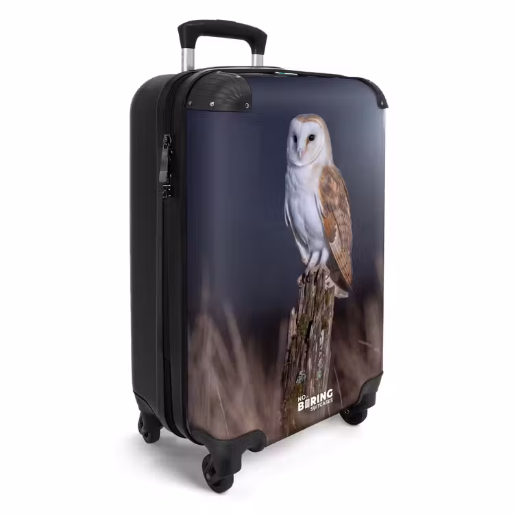 Suitcase - Barn Owl - Moon - Night — 2