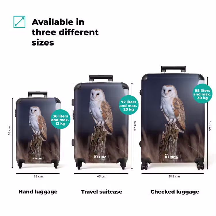Suitcase - Barn Owl - Moon - Night — 3